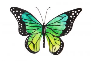 Teal & Yellow Watercolor butterfly